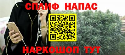 мяу мяу мука Краснознаменск
